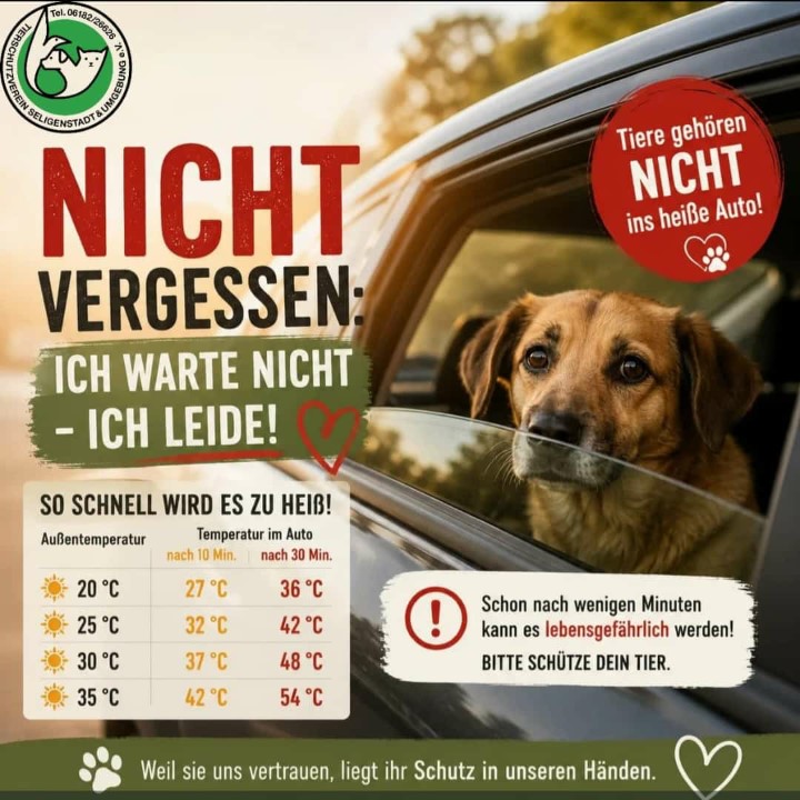 TiereAuto