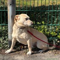 Gus_31