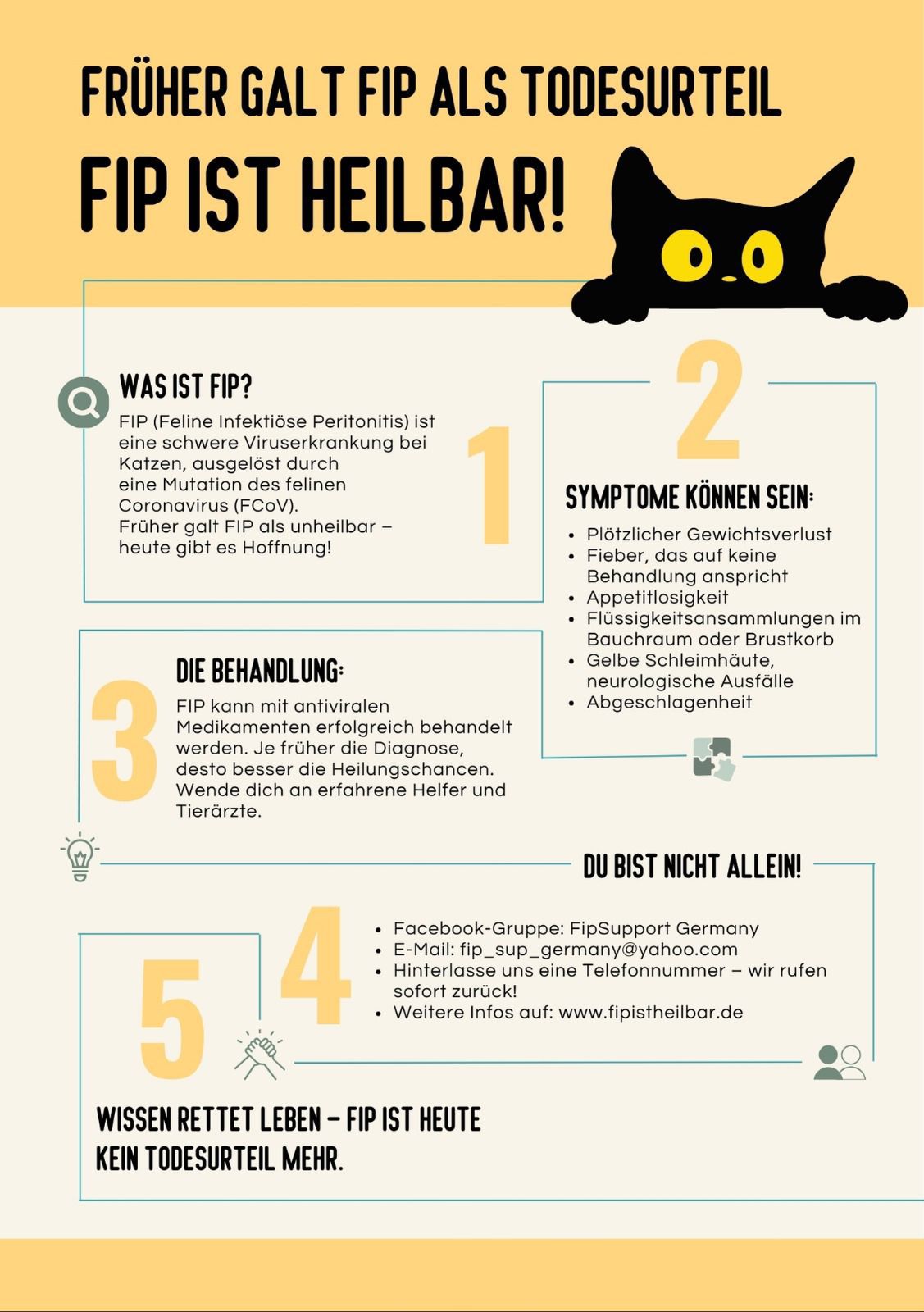 FIP ist heilbar