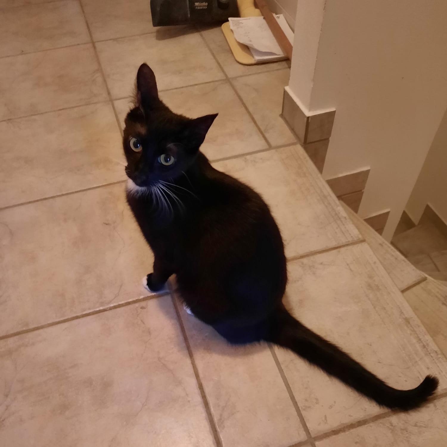 Oskar