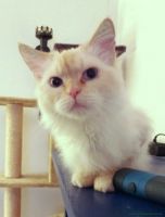 BellaB_51