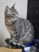 Lothar_2