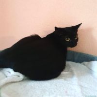 Luna_2