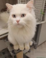 Milow_2