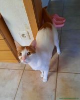 Tony