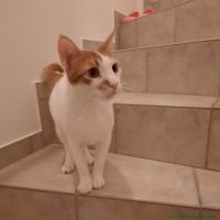 Tony_2