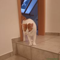 Tony_21