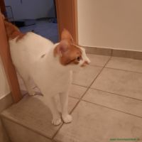 Tony_22
