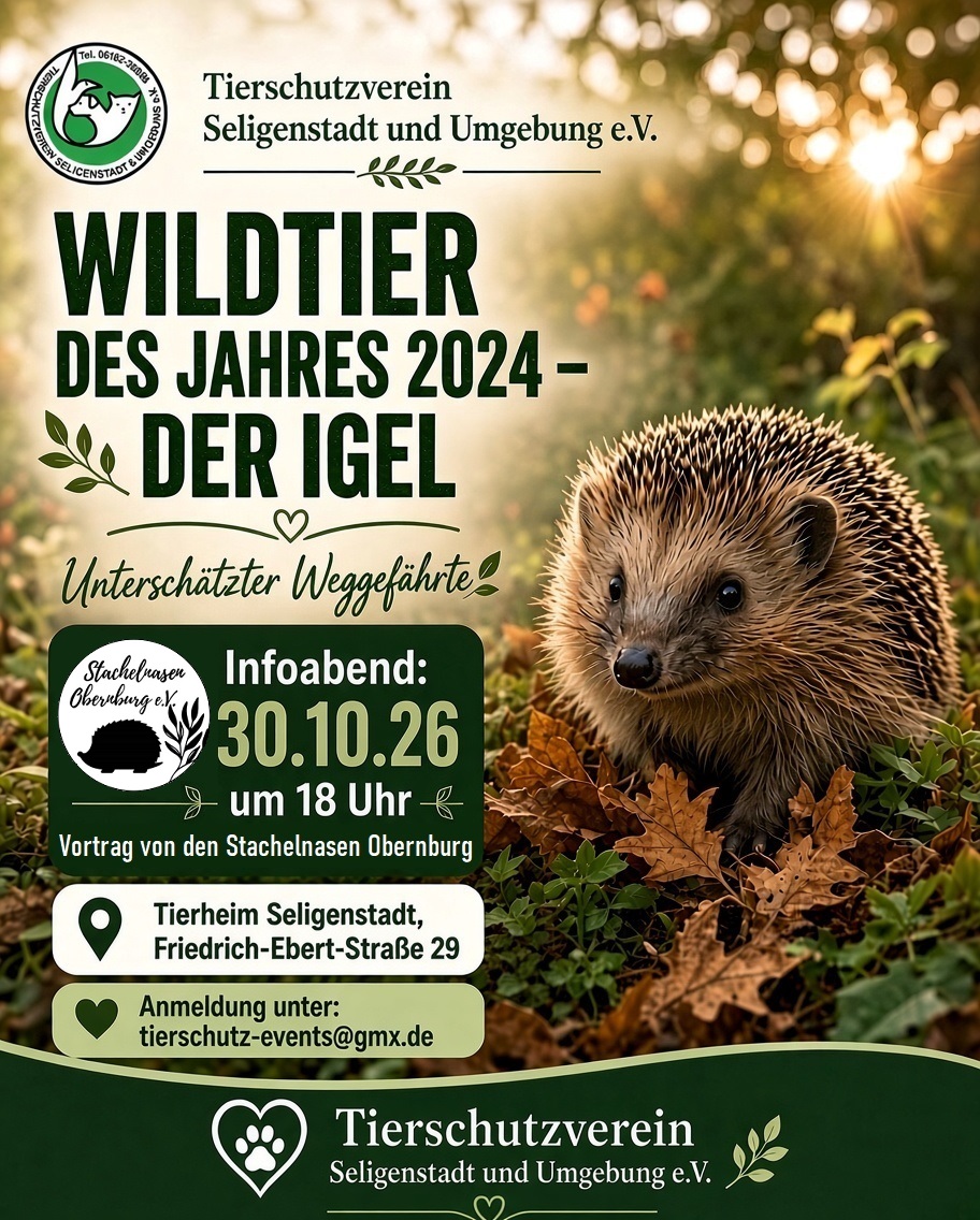 Vortrag Stachelnasen