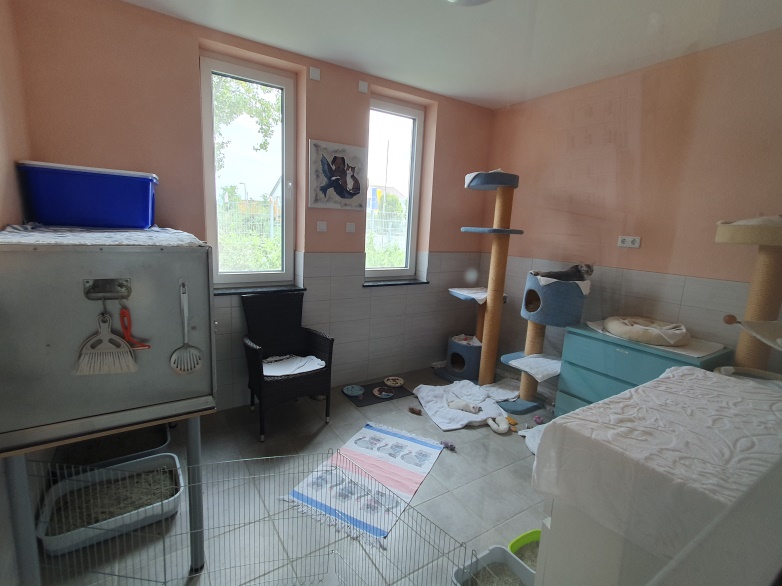 Quarantäne 2