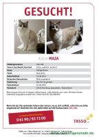 Maja_1